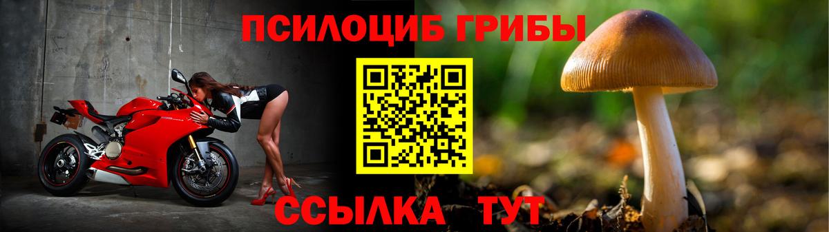Псилоцибиновые грибы GOLDEN TEACHER Куйбышев